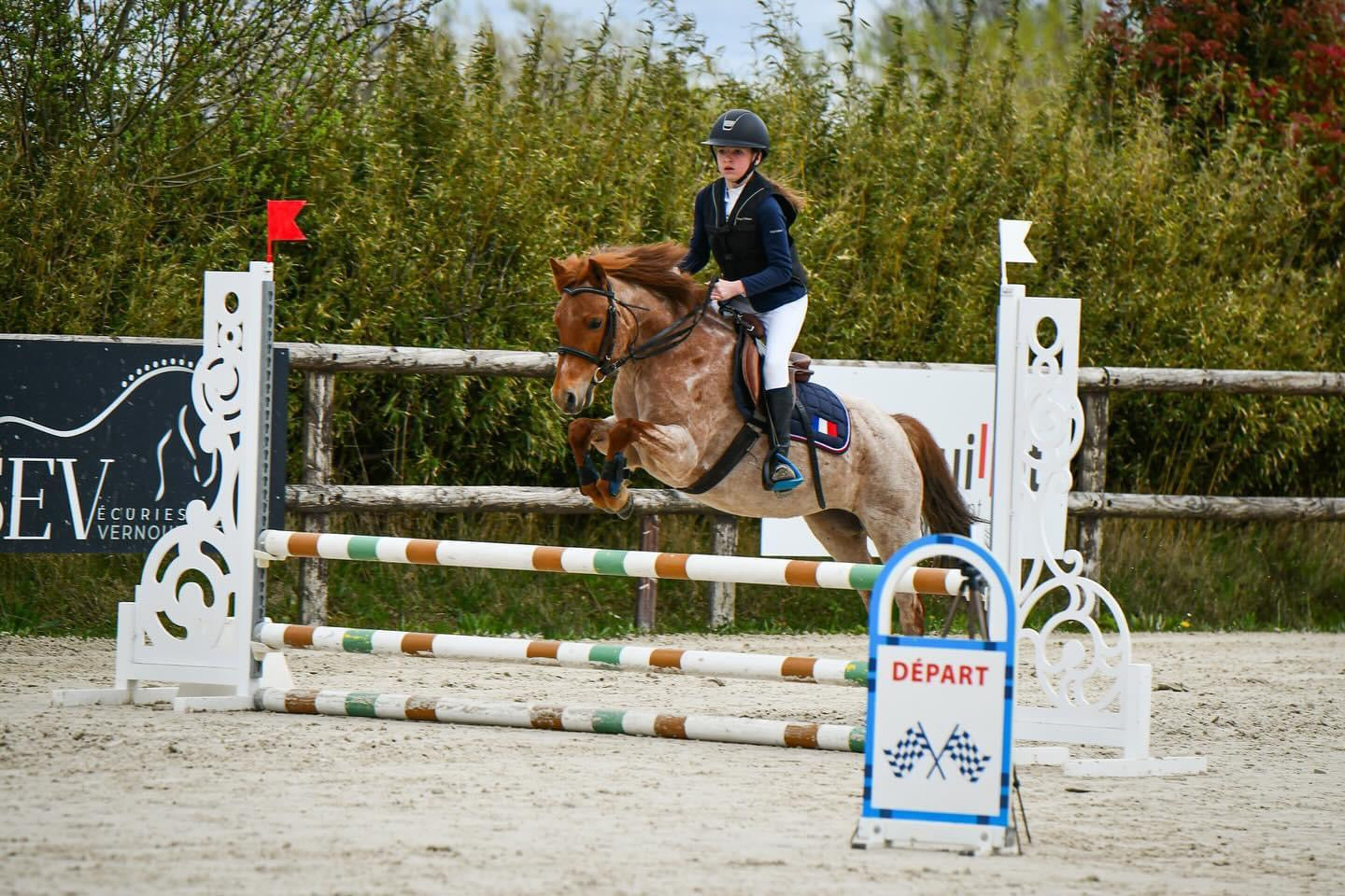 ⚠️ Inscriptions et réinscriptions à la SEV 🦄